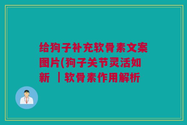 给狗子补充软骨素文案图片(狗子关节灵活如新 ｜软骨素作用解析