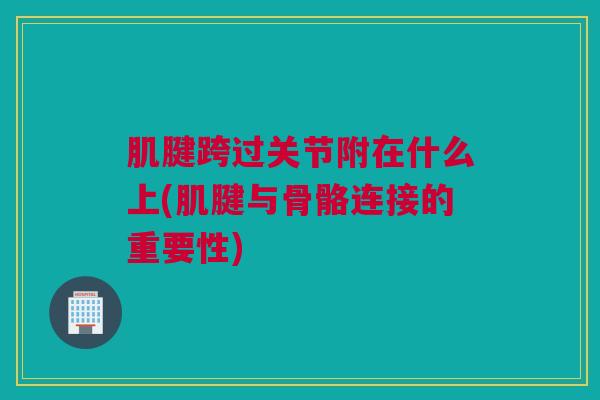 肌腱跨过关节附在什么上(肌腱与骨骼连接的重要性)