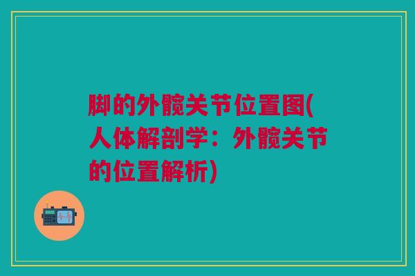 脚的外髋关节位置图(人体解剖学：外髋关节的位置解析)