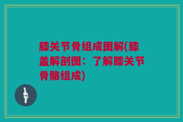 膝关节骨组成图解(膝盖解剖图：了解膝关节骨骼组成)