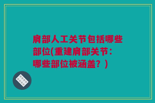 肩部人工关节包括哪些部位(重建肩部关节：哪些部位被涵盖？)
