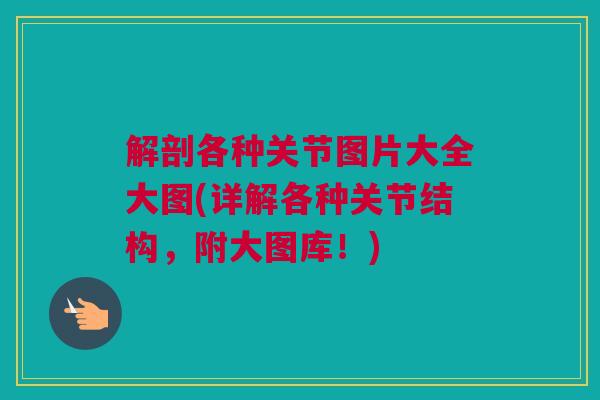 解剖各种关节图片大全大图(详解各种关节结构,附大图库!) 解剖各种关节图片大全大图(详解各种关节结构,附大图库!)