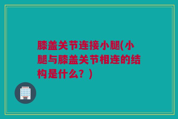 膝盖关节连接小腿(小腿与膝盖关节相连的结构是什么？)
