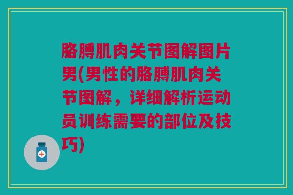 胳膊肌肉关节图解图片男(男性的胳膊肌肉关节图解，详细解析运动员训练需要的部位及技巧)