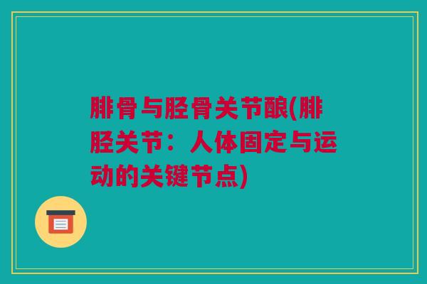 腓骨与胫骨关节酿(腓胫关节：人体固定与运动的关键节点)