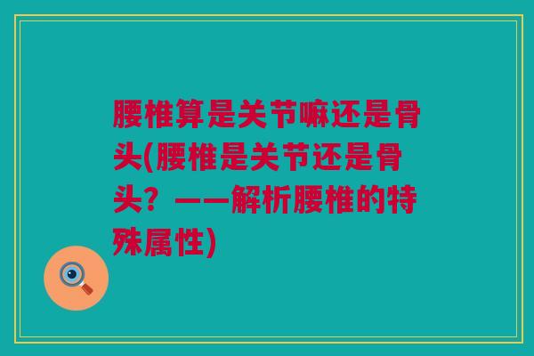 腰椎算是关节嘛还是骨头(腰椎是关节还是骨头？——解析腰椎的特殊属性)