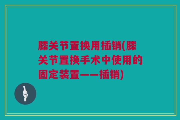 膝关节置换用插销(膝关节置换手术中使用的固定装置——插销)