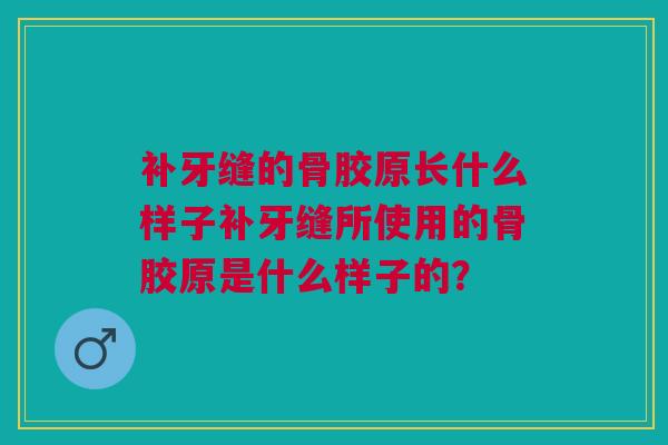 补牙缝的骨胶原长什么样子补牙缝所使用的骨胶原是什么样子的？