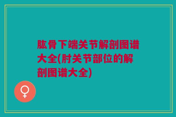 肱骨下端关节解剖图谱大全(肘关节部位的解剖图谱大全)