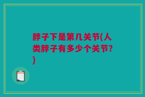 脖子下是第几关节(人类脖子有多少个关节？)