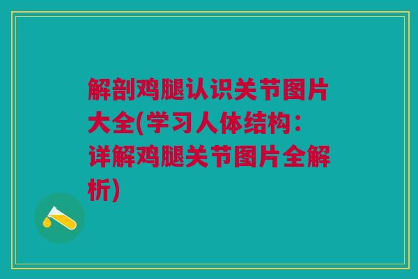 解剖鸡腿认识关节图片大全(学习人体结构：详解鸡腿关节图片全解析)