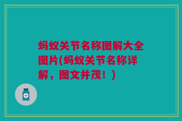 蚂蚁关节名称图解大全图片(蚂蚁关节名称详解，图文并茂！)