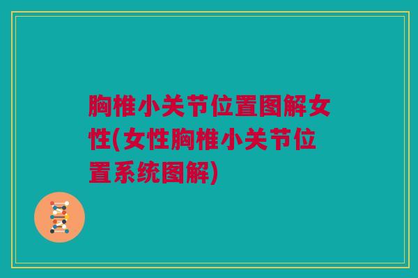 胸椎小关节位置图解女性(女性胸椎小关节位置系统图解)