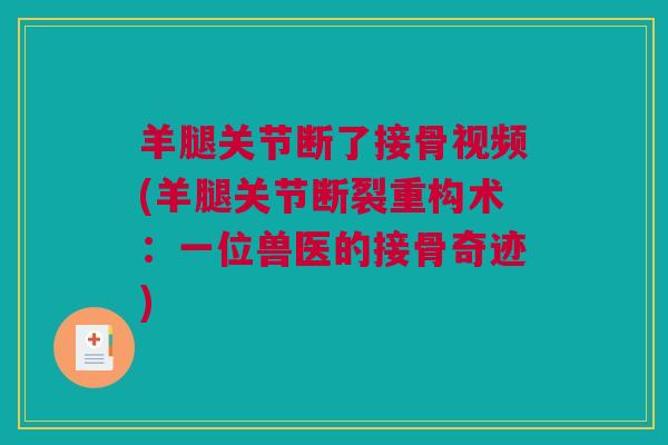 羊腿关节断了接骨视频(羊腿关节断裂重构术：一位兽医的接骨奇迹)