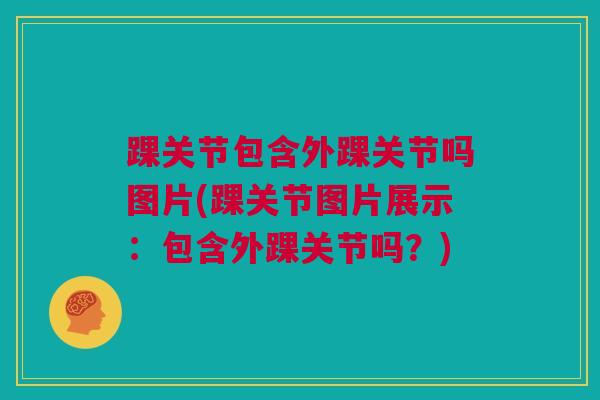 踝关节包含外踝关节吗图片(踝关节图片展示：包含外踝关节吗？)