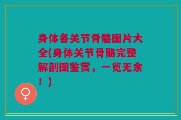 身体各关节骨骼图片大全(身体关节骨骼完整解剖图鉴赏，一览无余！)