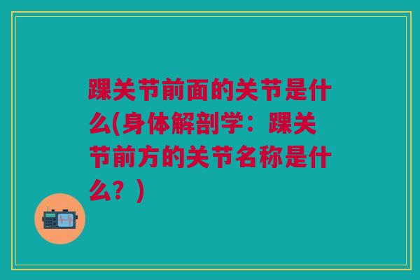 踝关节前面的关节是什么(身体解剖学：踝关节前方的关节名称是什么？)