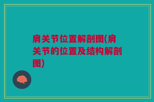 肩关节位置解剖图(肩关节的位置及结构解剖图)