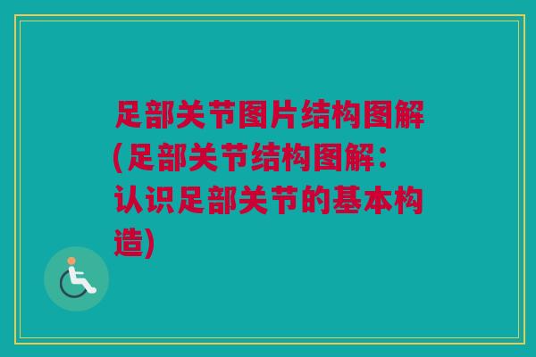 足部关节图片结构图解(足部关节结构图解：认识足部关节的基本构造)