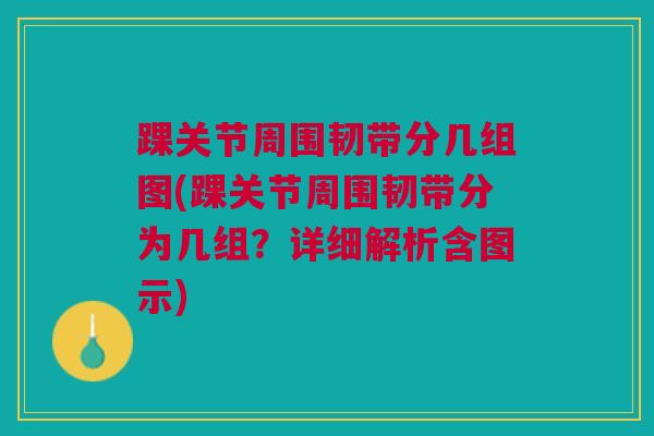 踝关节周围韧带分几组图(踝关节周围韧带分为几组？详细解析含图示)