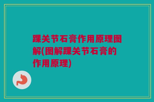 踝关节石膏作用原理图解(图解踝关节石膏的作用原理)