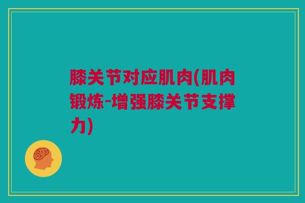 膝关节对应肌肉(肌肉锻炼-增强膝关节支撑力)