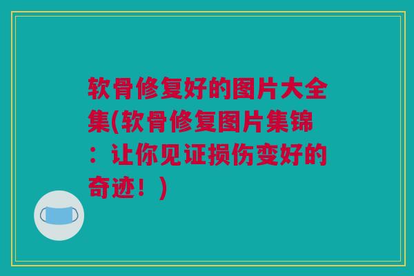 软骨修复好的图片大全集(软骨修复图片集锦：让你见证损伤变好的奇迹！)
