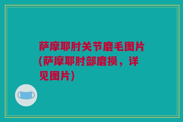 萨摩耶肘关节磨毛图片(萨摩耶肘部磨损，详见图片)