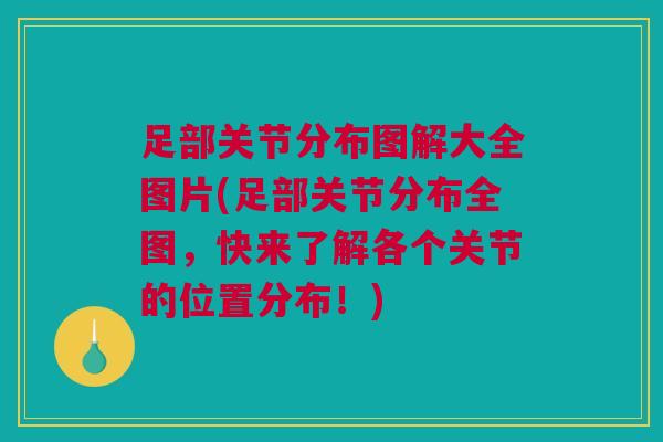 足部关节分布图解大全图片(足部关节分布全图，快来了解各个关节的位置分布！)