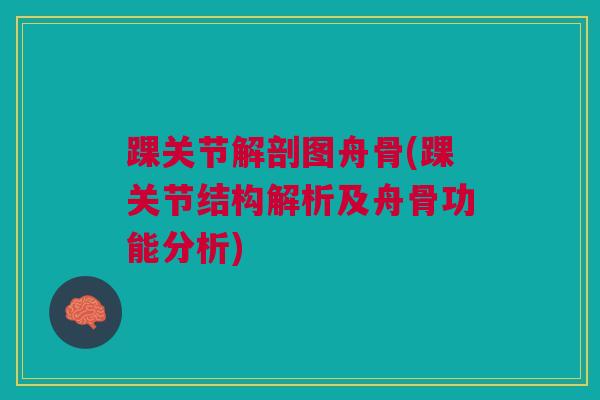 踝关节解剖图舟骨(踝关节结构解析及舟骨功能分析) 踝关节解剖图舟骨(踝关节结构解析及舟骨功能分析)