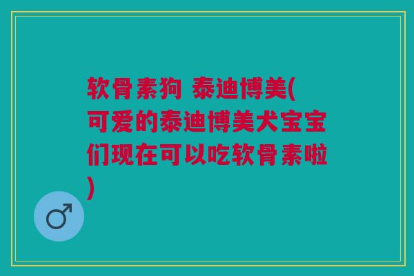 软骨素狗 泰迪博美(可爱的泰迪博美犬宝宝们现在可以吃软骨素啦)