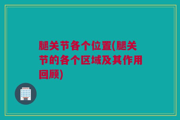腿关节各个位置(腿关节的各个区域及其作用回顾)