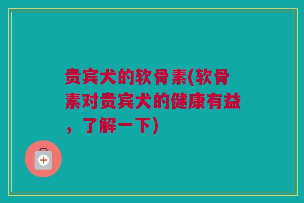 贵宾犬的软骨素(软骨素对贵宾犬的健康有益，了解一下)