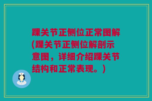踝关节正侧位正常图解(踝关节正侧位解剖示意图,详细介绍踝关节结构和正常表现。) 踝关节正侧位正常图解(踝关节正侧位解剖示意图,详细介绍踝关节结构和正常表现。)