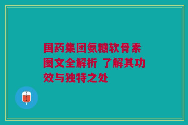 国药集团氨糖软骨素 图文全解析 了解其功效与独特之处
