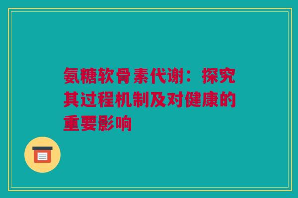 氨糖软骨素代谢：探究其过程机制及对健康的重要影响