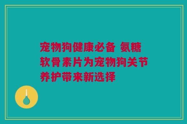 宠物狗健康必备 氨糖软骨素片为宠物狗关节养护带来新选择