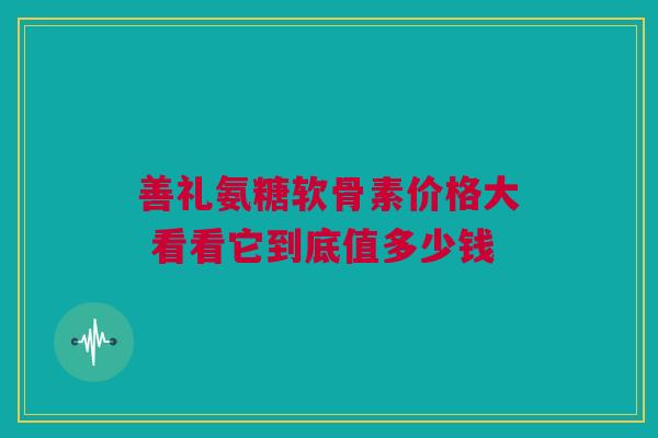善礼氨糖软骨素价格大 看看它到底值多少钱