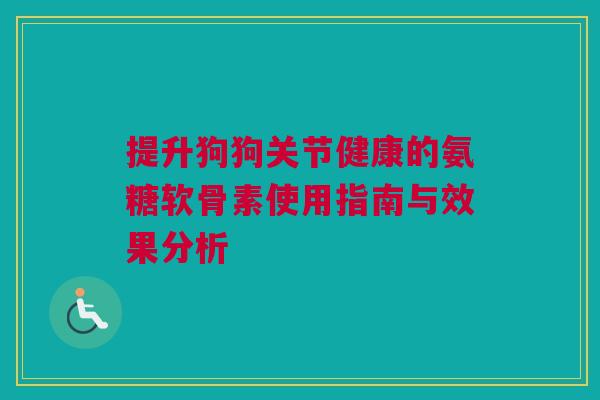 提升狗狗关节健康的氨糖软骨素使用指南与效果分析