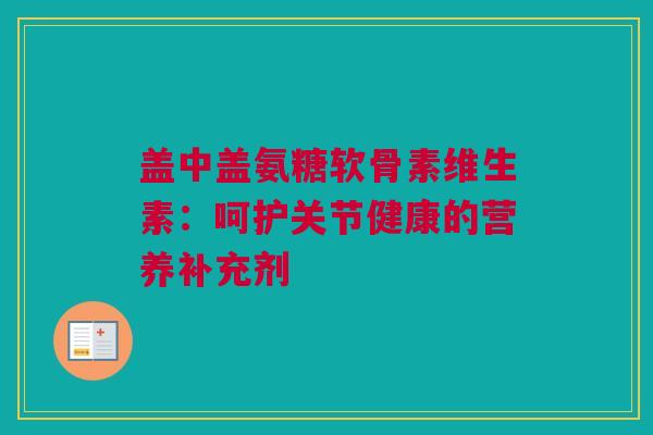 盖中盖氨糖软骨素维生素：呵护关节健康的营养补充剂