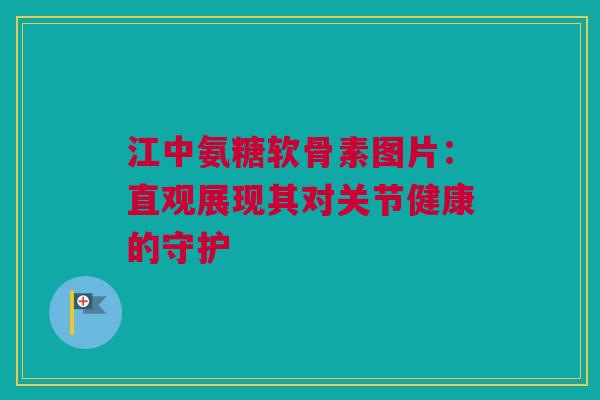 江中氨糖软骨素图片:直观展现其对关节健康的守护 江中氨糖软骨素图片:直观展现其对关节健康的守护