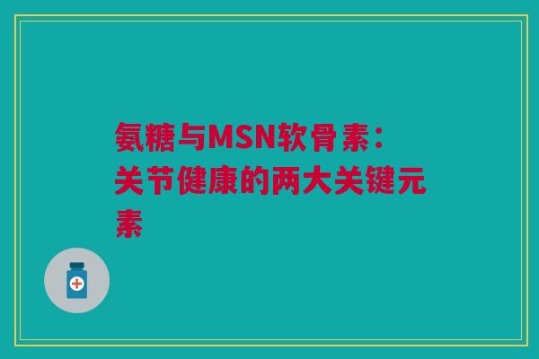 氨糖与MSN软骨素：关节健康的两大关键元素