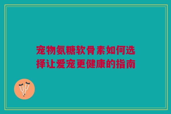 宠物氨糖软骨素如何选择让爱宠更健康的指南