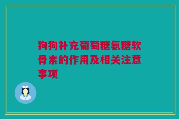 狗狗补充葡萄糖氨糖软骨素的作用及相关注意事项