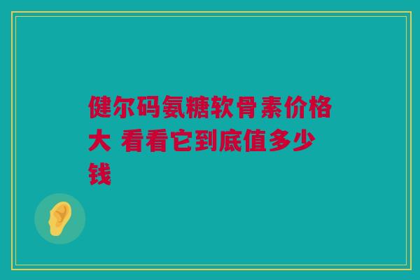 健尔码氨糖软骨素价格大 看看它到底值多少钱