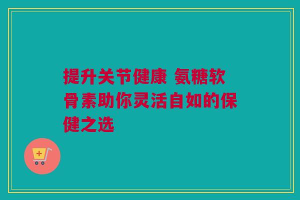 提升关节健康 氨糖软骨素助你灵活自如的保健之选