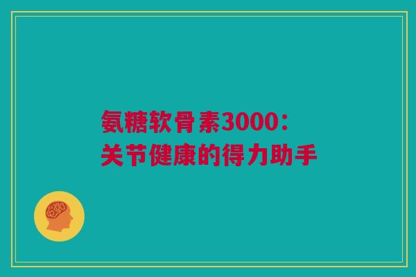 氨糖软骨素3000：关节健康的得力助手