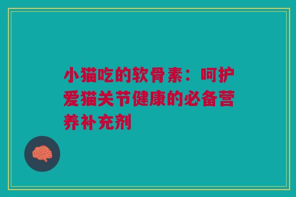 小猫吃的软骨素：呵护爱猫关节健康的必备营养补充剂