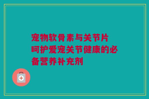 宠物软骨素与关节片 呵护爱宠关节健康的必备营养补充剂