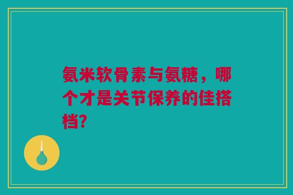 氨米软骨素与氨糖，哪个才是关节保养的佳搭档？
